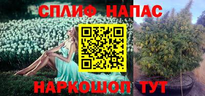молекула духа Мариинск