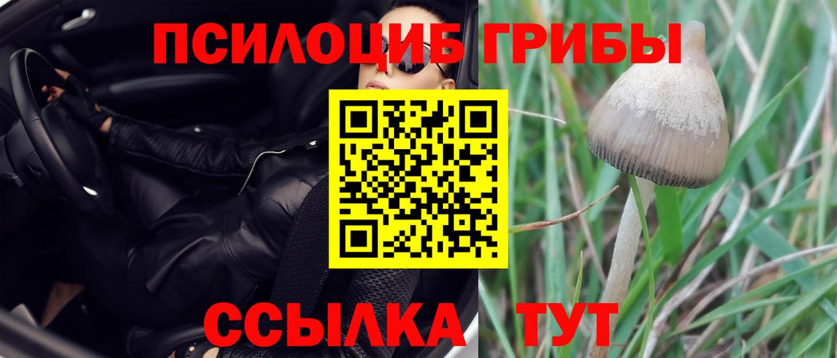 Псилоцибиновые грибы GOLDEN TEACHER Ивантеевка