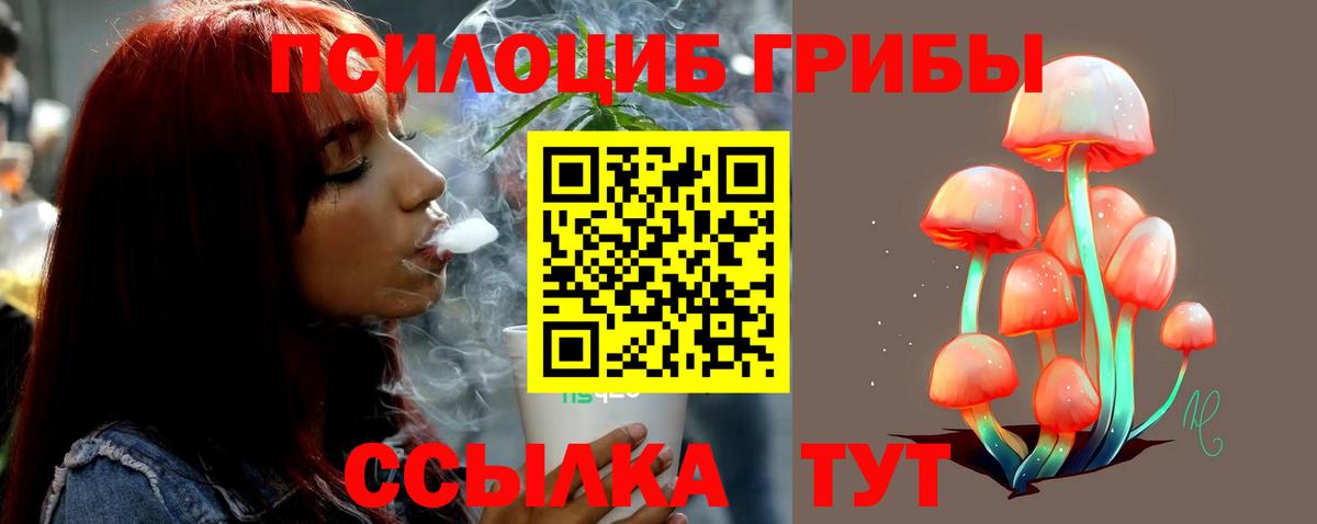где найти наркотики  Псилоцибиновые грибы Magic Shrooms  Ивантеевка  Вход с VPN  Галлюциногенные грибы ЛСД 